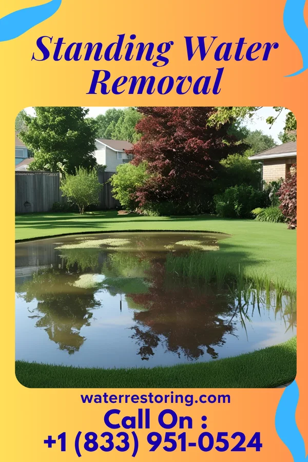 Standing Water Removal in Elizabethtown, KY